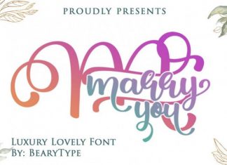 Marry You Script Font