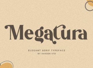 Megatura Font