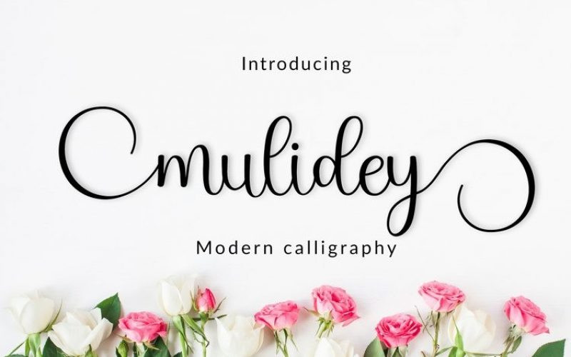 Mulidey Calligraphy Font