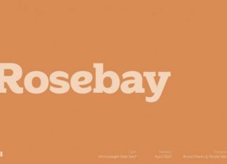 Rosebay Slab Serif Font