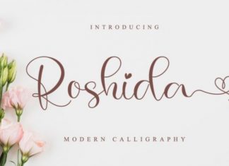 Roshida Calligraphy Font