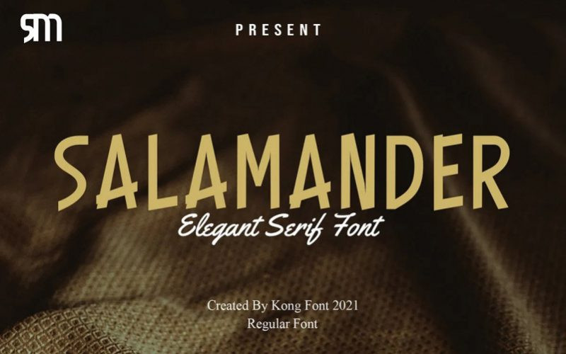 Salamander Display Font