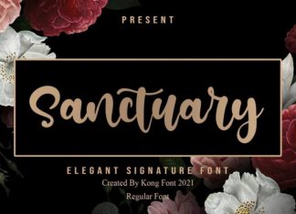 Sanctuary Script Font