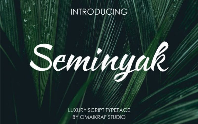 Seminyak Script Font