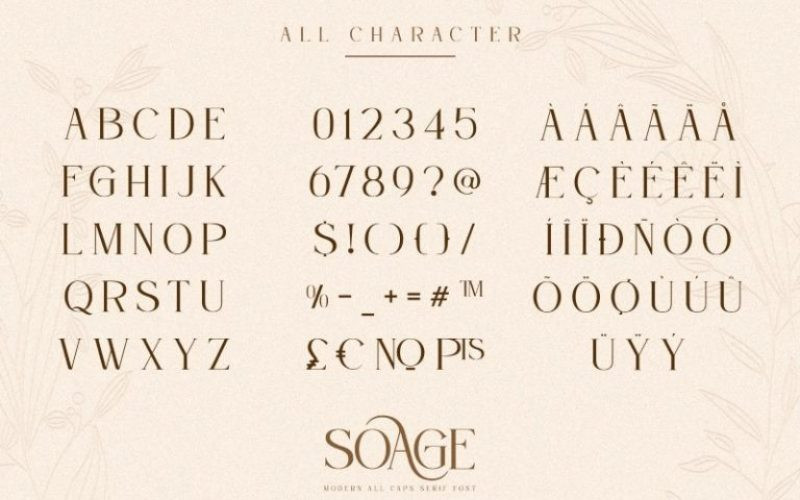 Soage Serif Font