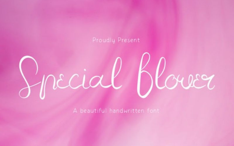 Special Flower Script Font