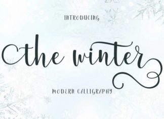 The winter Calligraphy Font