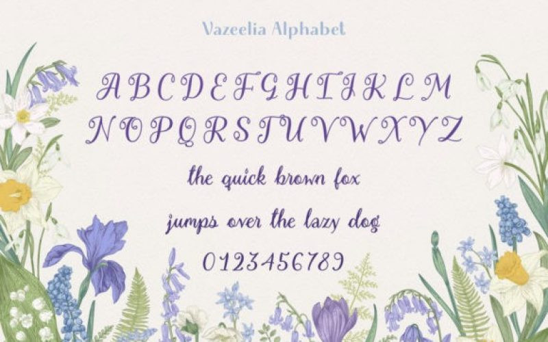 Vazeelia Calligraphy Font