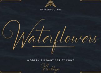 Waterflowers Calligraphy Font