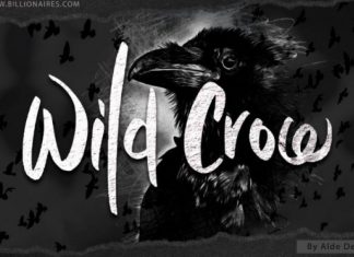 Wild Crow Brush Font