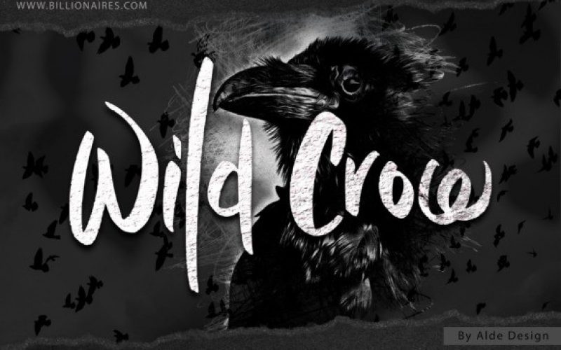 Wild Crow Brush Font