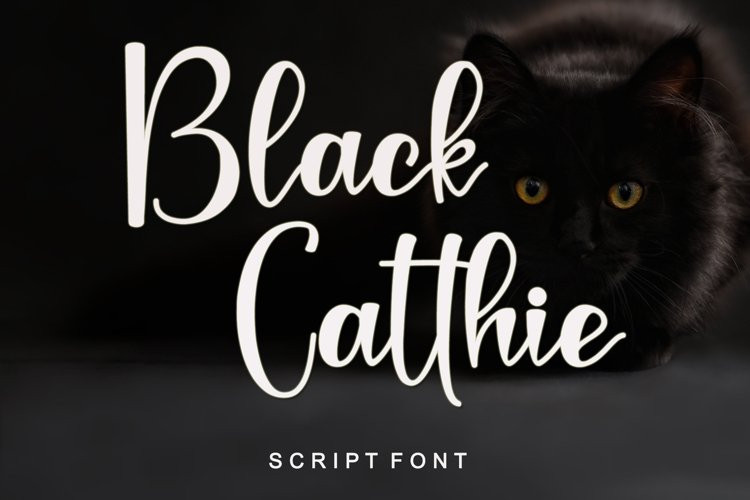 Black Catthie Script Font