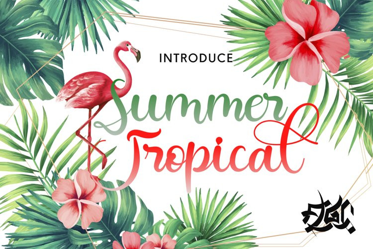 Summer Tropical Script Font