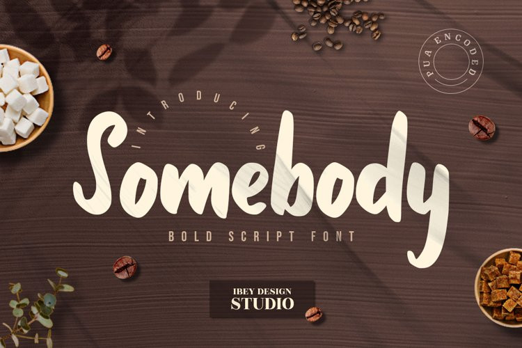 Somebody Brush Font