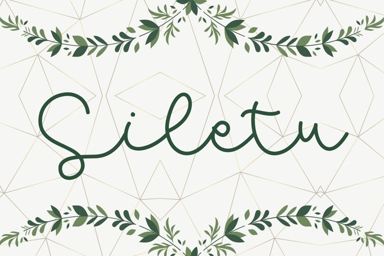 Siletu Handwritten Font