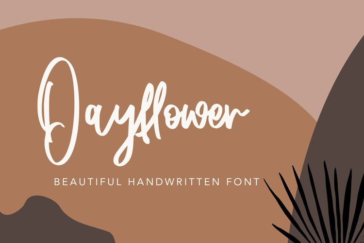 Dayflower Script Font
