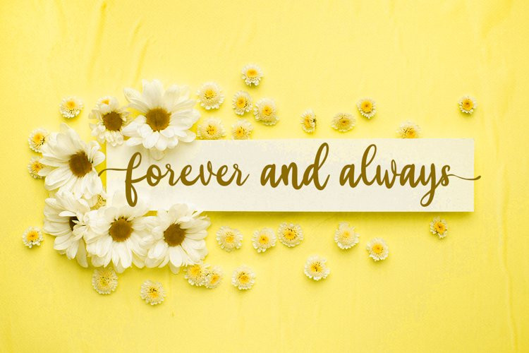 Yellow Bunny Calligraphy Font