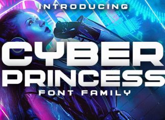 Cyber Princess Display Font