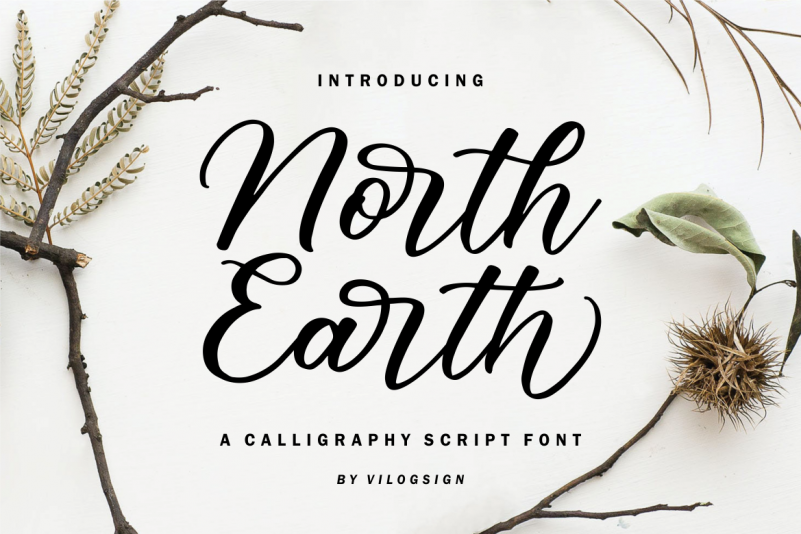 North Earth Script Font