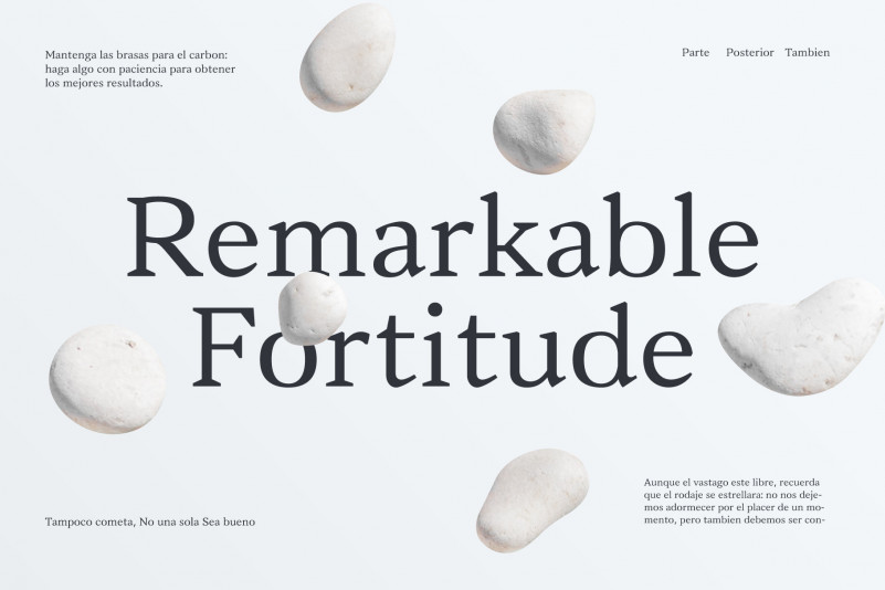 Vanio Serif Font