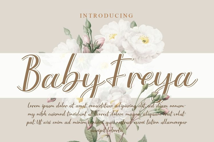 Baby Freya Script Font