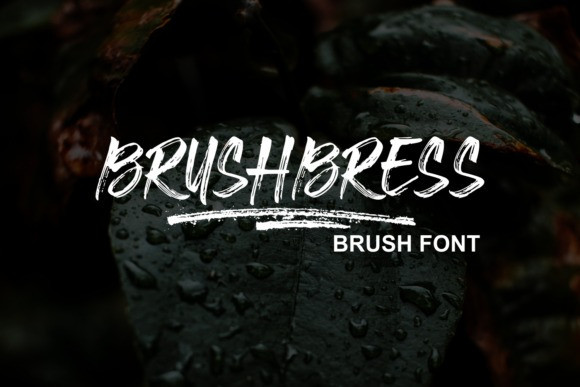 Brushbress Brush Font