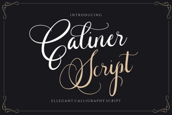 Caliner Calligraphy Font