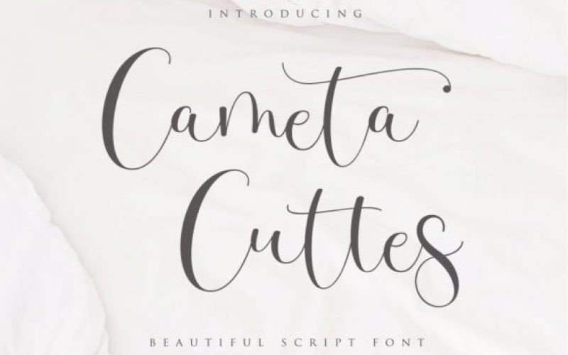 Cameta Cuttes Calligraphy Font