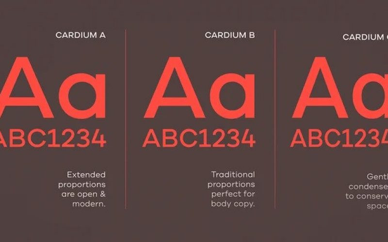 Cardium Sans Serif Font