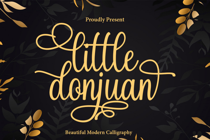 Little Donjuan Calligraphy Font