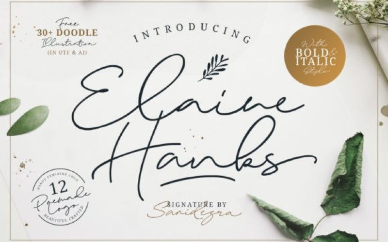 Elaine Hanks Handwritten Font