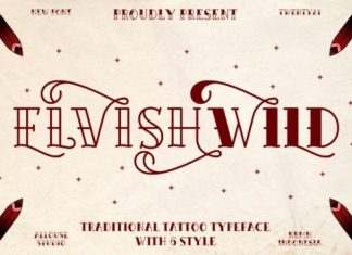 Elvishwild Display Font