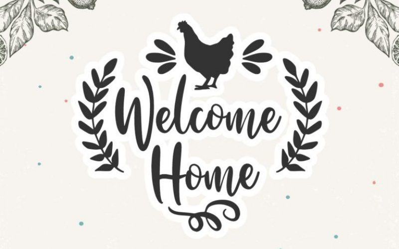 Little Farmhouse Calligraphy Font