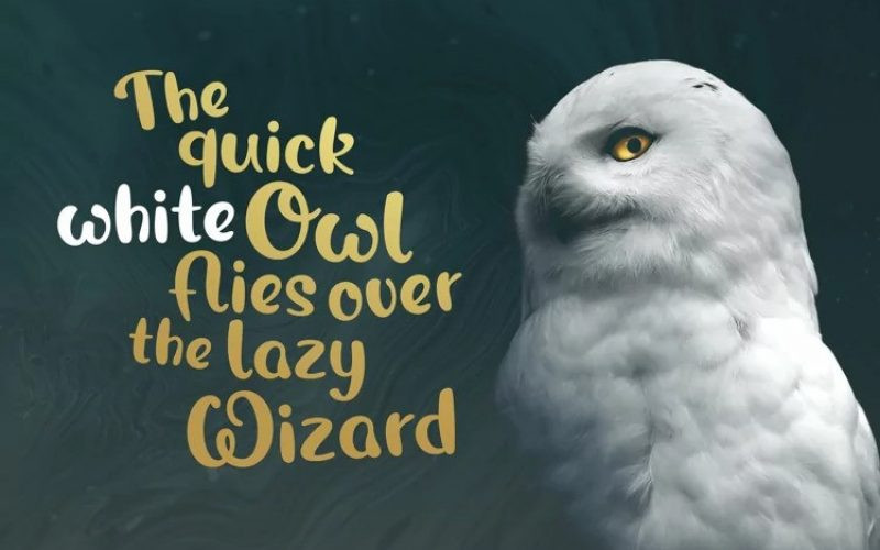 Magic Owl Script Font