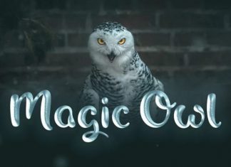 Magic Owl Script Font