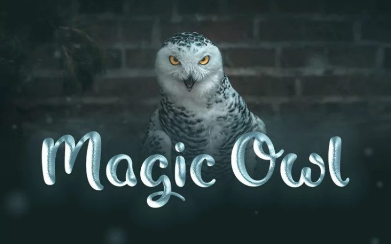 Magic Owl Script Font