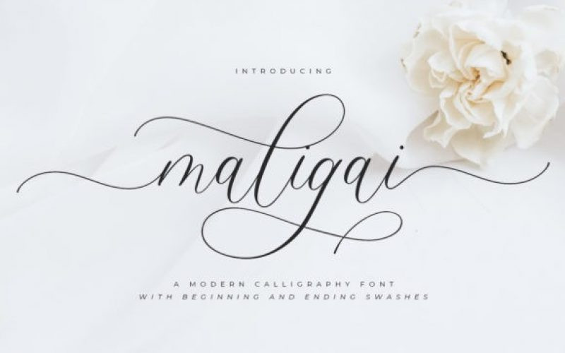 Maligai Calligraphy Font