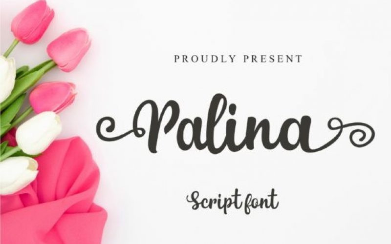 Palina Calligraphy Font