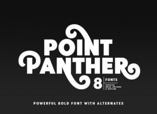 Point Panther Sans Serif Font