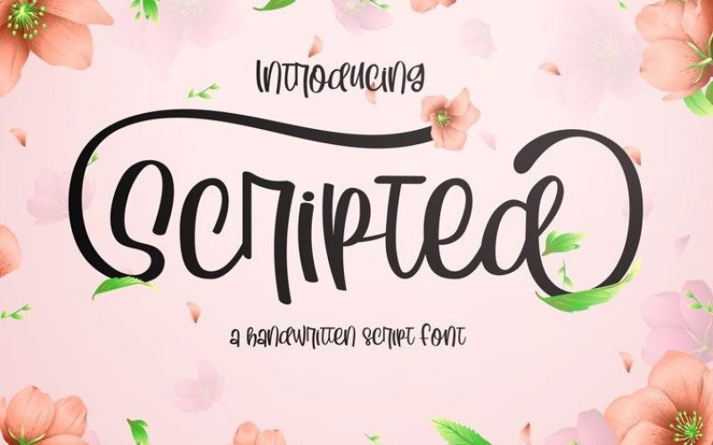 Scripted Script Font