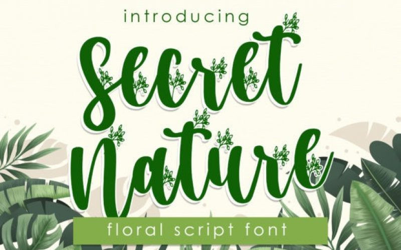 Secret Nature Script Font