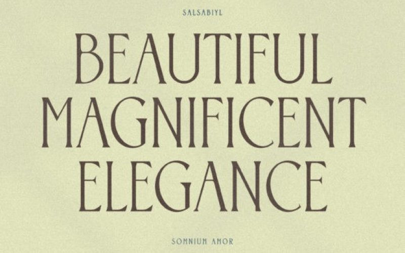 Somnium Amor Serif Font