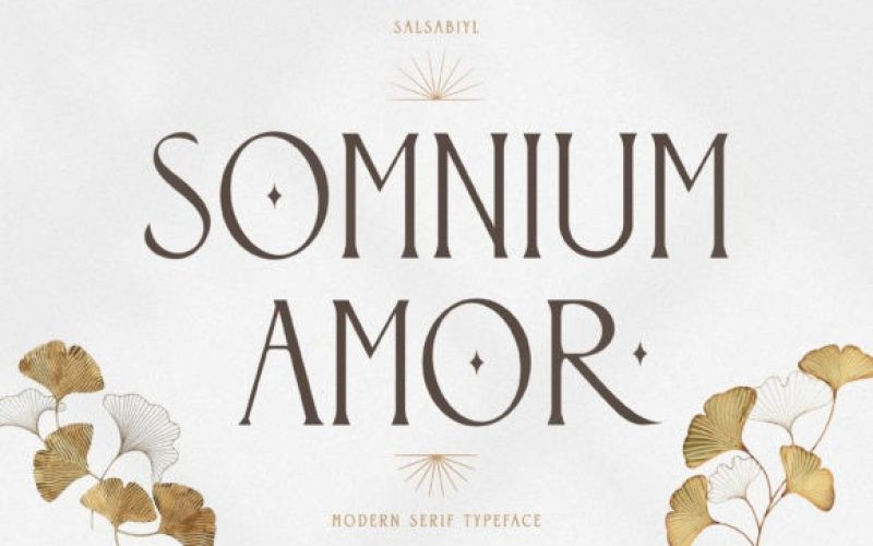 Somnium Amor Serif Font