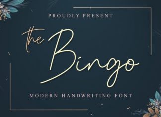 The Bingo Handwritten Font