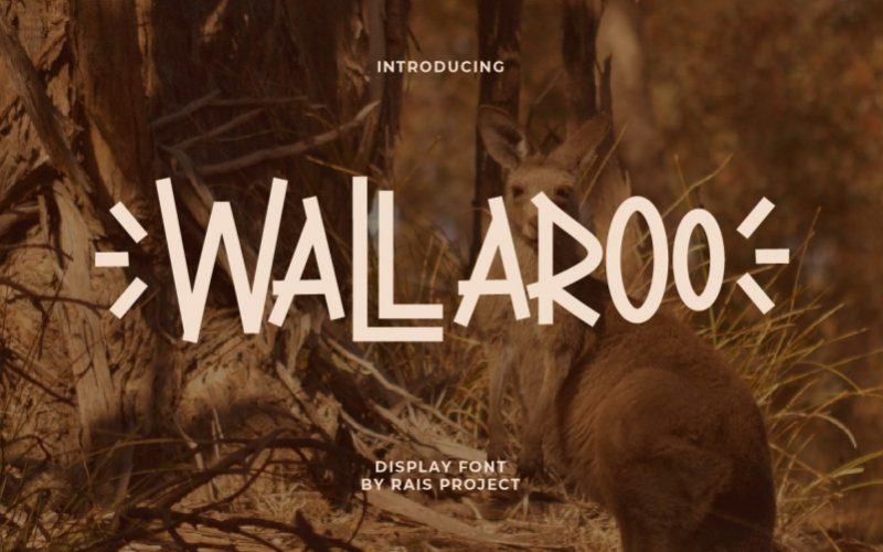 Wallaroo Display Font