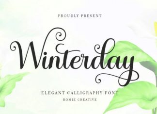 Winterday Calligraphy Font