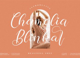 Chamelia Blinkar Script Font