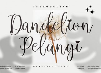 Dandelion Pelangi Script Font
