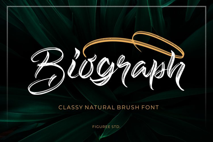 Biograph Brush Font