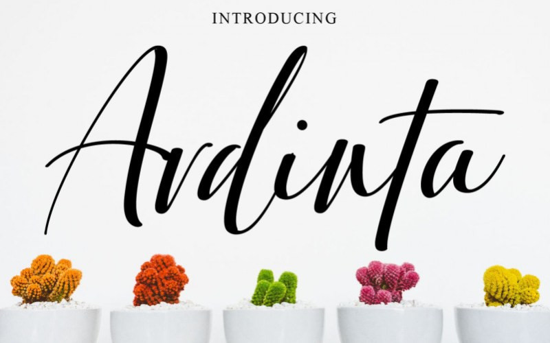 Ardinta Script Font